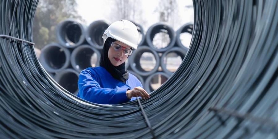 حديد التسليح يتراجع 6.5% منذ بداية العام - هرم مصر
