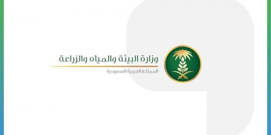 1 محرم بيع المواشي الحية بالوزن في أسواق النفع العام - هرم مصر