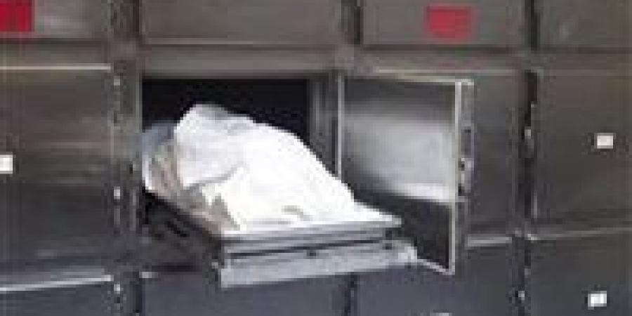 جهود أمنية مكثفة لضبط المتهم بقتل زوجته في الدقهلية والسبب صادم - هرم مصر