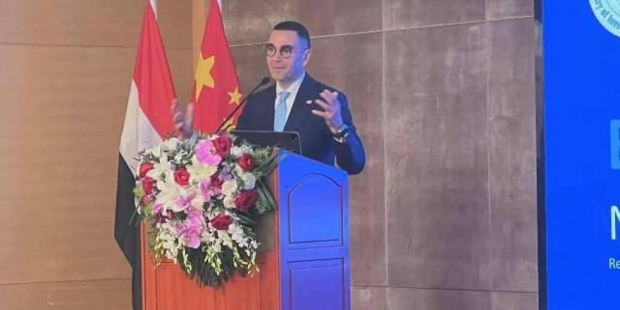 وزير الاستثمار: مصر تمتلك مقومات استثمارية تجعلها مركزًا مثاليًا للتجارة والتصنيع - هرم مصر