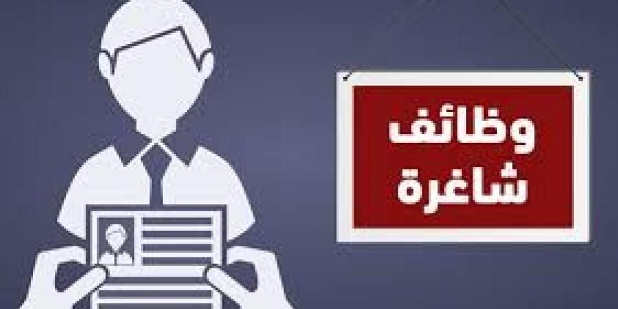 بنك مصر يعلن عن وظائف جديدة للشباب - هرم مصر