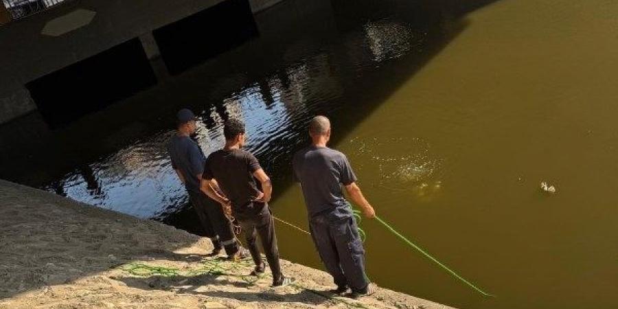 الإنقاذ النهري يبحث عن طـ.فل غرق بالنيل بالصف - هرم مصر