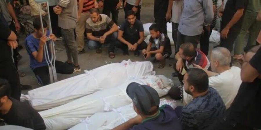 استشهاد 3 فلسطينيين خلال قصف لشمال وجنوب غزة واعتقال 26 آخرين من الضفة الغربية - هرم مصر