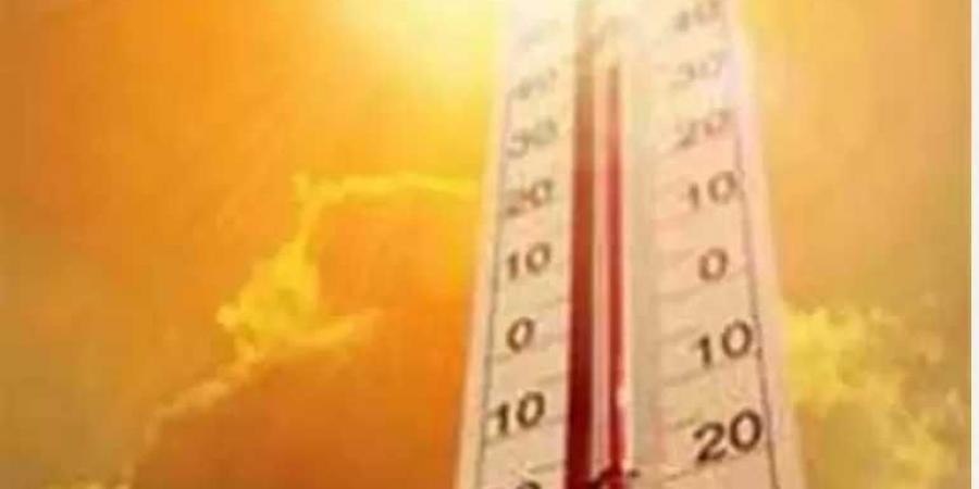 الأرصاد: طقس حار وارتفاع نسبة الرطوبة والعظمى بالقاهرة تسجل 35 درجة - هرم مصر