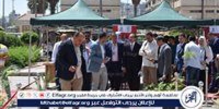 افتتاح الملتقى الأول للتوظيف والإبداع بكلية الفنون الجميلة بالمنصورة تحت شعار: "من الإبداع إلى الاحتراف" - هرم مصر