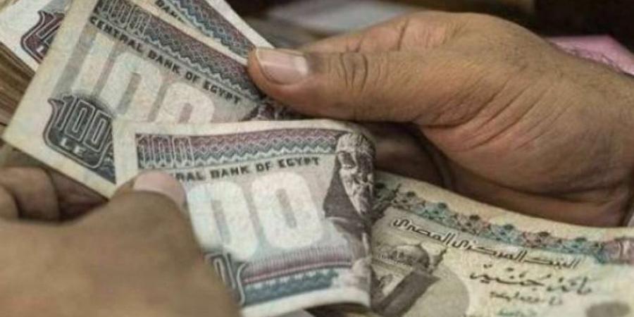صندوق تكافل وكرامة.. تمويل مستدام لدعم الفئات المهمشة في مصر - هرم مصر
