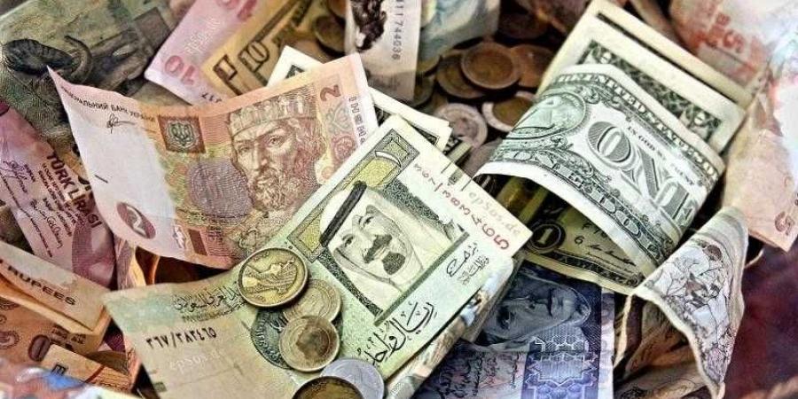 أسعار العملات في مصر اليوم الاربعاء - هرم مصر