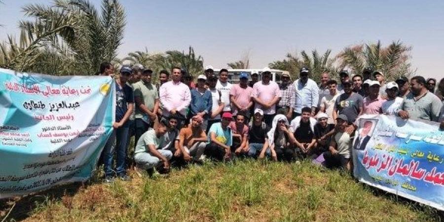 أخبار الوادي الجديد: انطلاق فعاليات التدريب الصيفي الميداني للطلاب.. واجتماع موسّع للجنة النفايات الطبية - هرم مصر