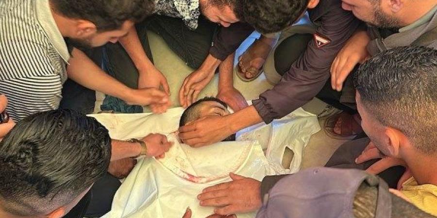 الأمم المتحدة تحذر من مجاعة غزة.. و31 شهيدًا منذ فجر اليوم - هرم مصر