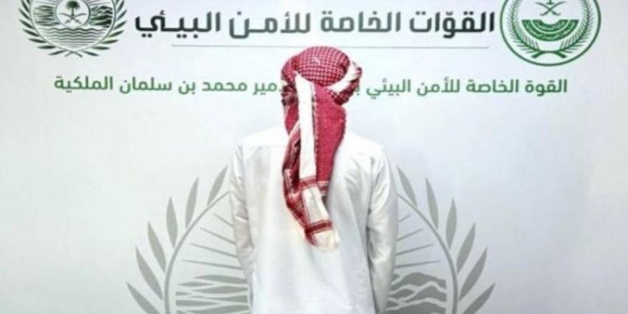 القبض على مخالف لنظام البيئة اصطاد وعلًا بريًا - هرم مصر