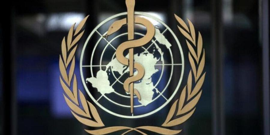 الصحة العالمية تعلن إدخال أولى شحناتها الطبية إلى غزة منذ مطلع مارس الماضي - هرم مصر