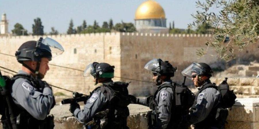‏«حشد»: الاحتلال يرتكب جرائم حرب ضد الكوادر الإنسانية في غزة ووثقنا ‏سقوط آلاف الضحايا - هرم مصر