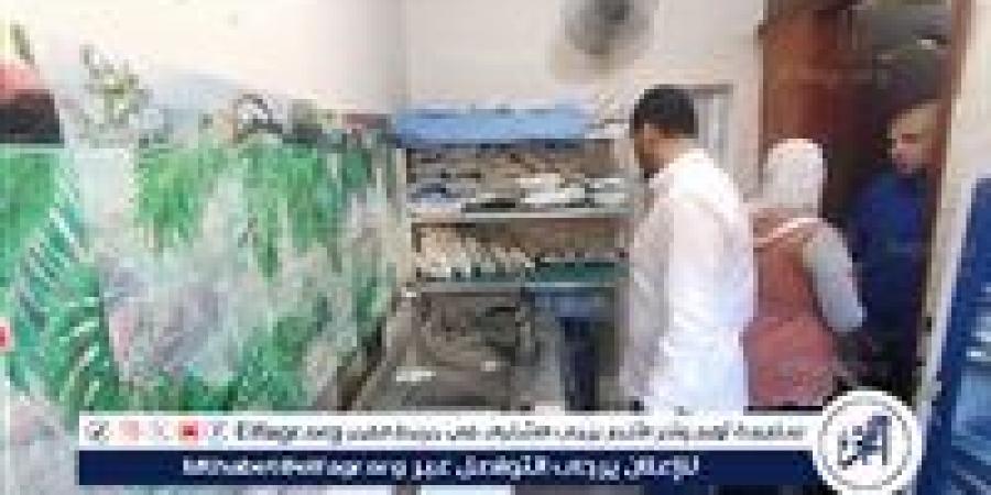 صحة الدقهلية: العلاج الحر يوصي بغلق 28 منشأة مخالفة وإنذار 6 أخرى بمدينة الكردى - هرم مصر