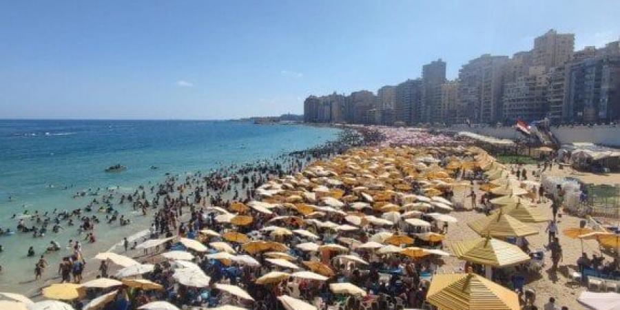 بعد دخول فصل الصيف 2025.. ما هي أجمل شواطئ الإسكندرية والأسعار؟ - هرم مصر
