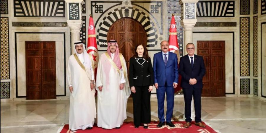 رئيسة الحكومة ووزير الصحة بتونس يستقبلان الرئيس التنفيذي للصندوق السعودي للتنمية - هرم مصر