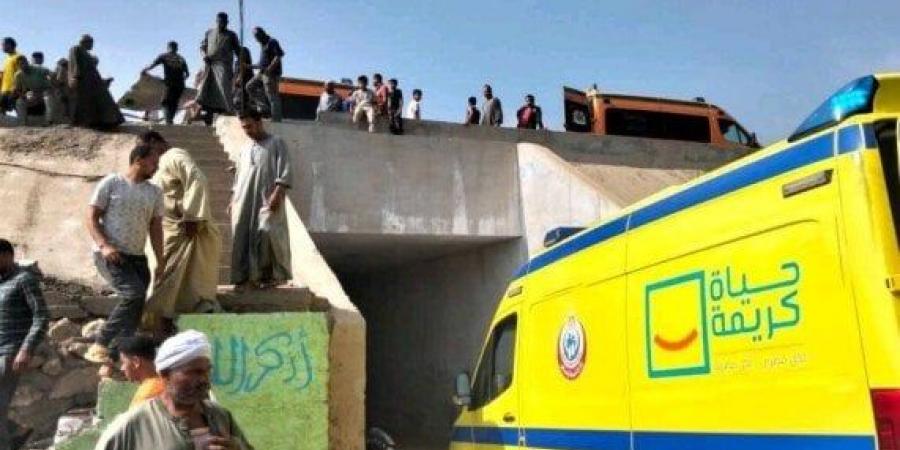 مصرع 14 شخصًا وإصابة 6 في حادث تصادم سيارتين بالطريق الإقليمي بـ المنوفية - هرم مصر
