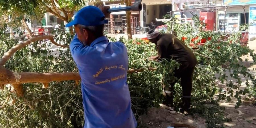 ضمن أعمال المرحلة الثانية من الموجة 26.. تنفيذ 7 قرارات إزالة في حملة مكبرة بالأقصر - هرم مصر