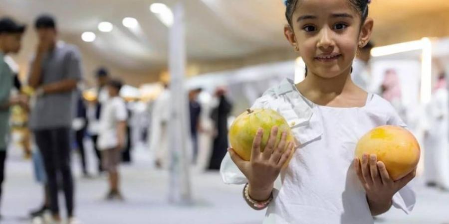 مهرجان المانجو الرابع بأملج يواصل فعالياته - هرم مصر