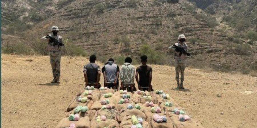 ضبط 4 أشخاص لمحاولتهم تهريب كمية من نبات القات المخدر بمنطقة جازان - هرم مصر