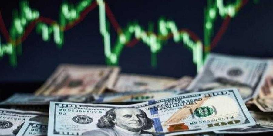 أسعار الدولار في مصر اليوم الأحد - هرم مصر