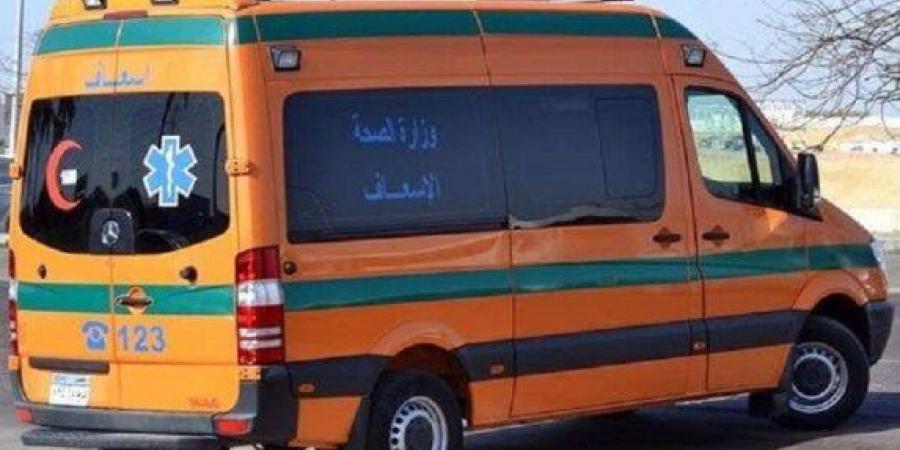بينهم طفلان.. إصابة 6 أفراد من أسرة واحدة في انقلاب ميكروباص بالمنيا - هرم مصر