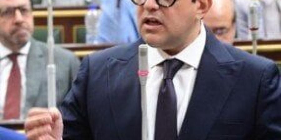 نائب يطالب بعقد لجان استماع حول قانون إجراءات التصرف في أملاك الدولة - هرم مصر