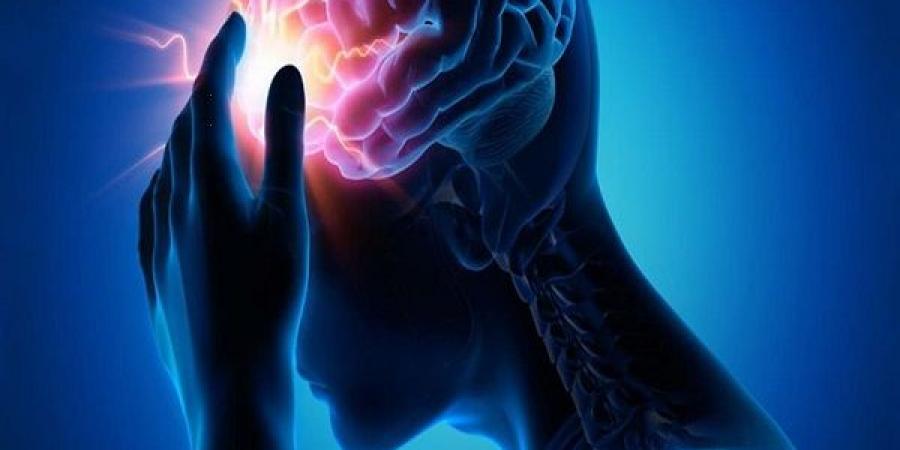 دراسة تكشف طريقة فعالة لإبطاء شيخوخة الدماغ #الصحة #منوعات #اخبار_الصحة #اخبار_منوعة #لايف_ستايل #الجمهورية_أون_لاين - هرم مصر