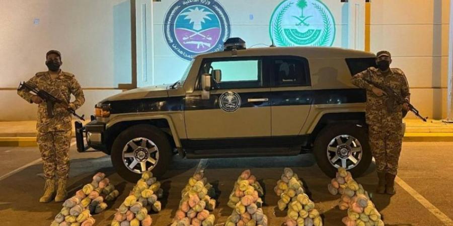 إحباط تهريب (44) كجم من القات بجازان - هرم مصر