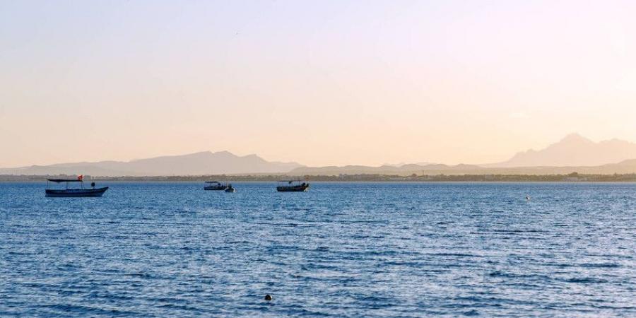 عاجل .. تونس.. العثور على جثة "الطفلة مريم" في عرض البحر بمدينة بني خيار الساحلية - هرم مصر