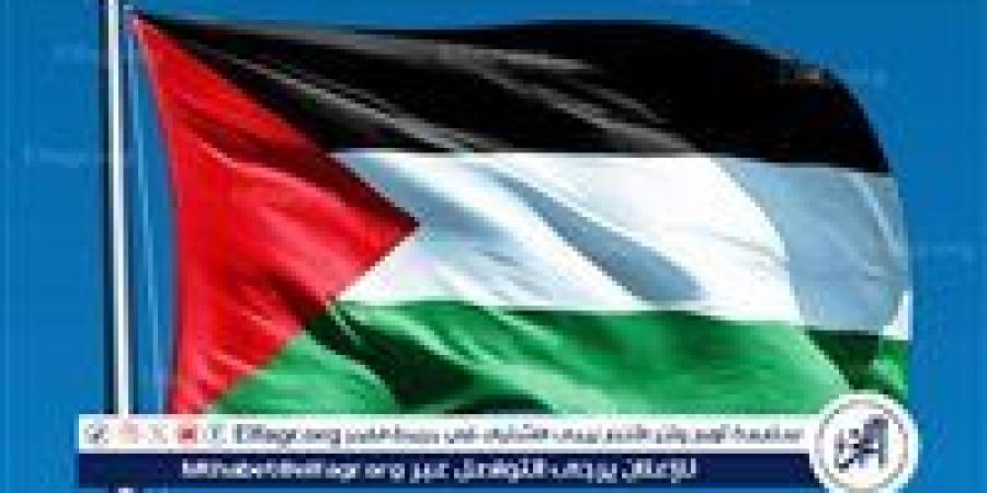 ‏وزير الخارجية الإسرائيلي: وجهة نظرنا هي أن قيام دولة فلسطينية من شأنه أن يهدد أمن دولة إسرائيل - هرم مصر