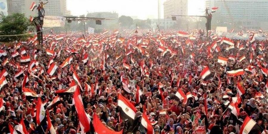 تحالف الأحزاب المصرية: 30 يونيو كتبت ميلادا جديدا للدولة - هرم مصر