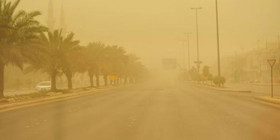 الأرصاد: رياح نشطة على منطقة الحدود الشمالية - هرم مصر