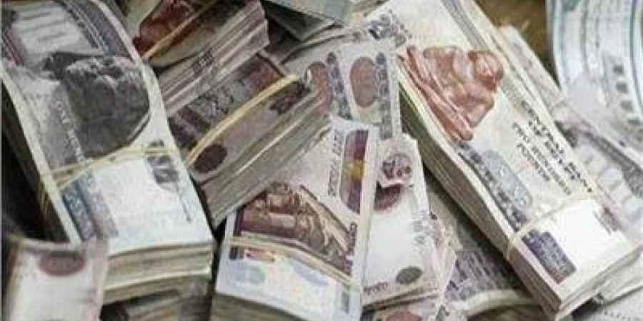 أكثر من 150 مليون جنيه.. بلاغات بالاستيلاء على تركة مستشارة صندوق النقد الدولي - هرم مصر