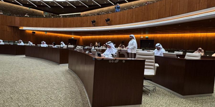 «البلدي» يوافق على تخصيص مسارات خطوط هوائية لربط «الشقايا» مع «الوفرة» - هرم مصر