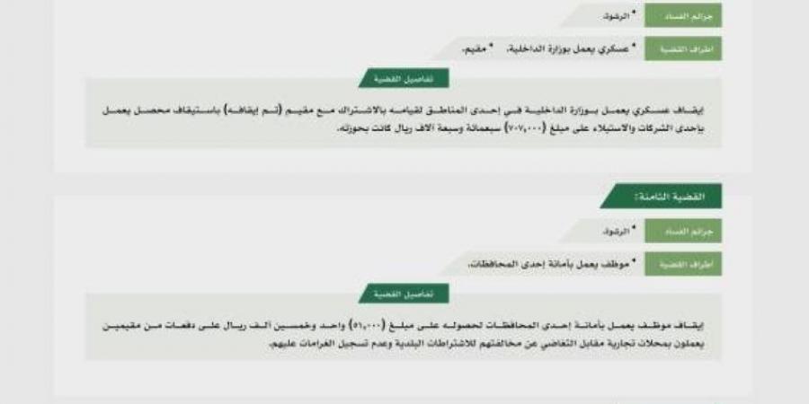 هيئة الرقابة ومكافحة الفساد تباشر عددًا من القضايا الجنائية - هرم مصر