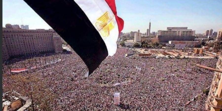 وزير الداخلية الأسبق: ثورة 30 يونيو وأدت مشروعا إقليميا لإسقاط الدولة المصرية - هرم مصر