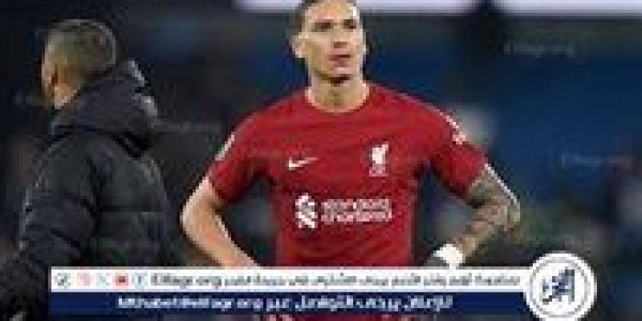 كلوب تجاهل توصية البيانات واختار نونيز بدلًا من إيزاك.. إدارة ليفربول تكشف الكواليس - هرم مصر