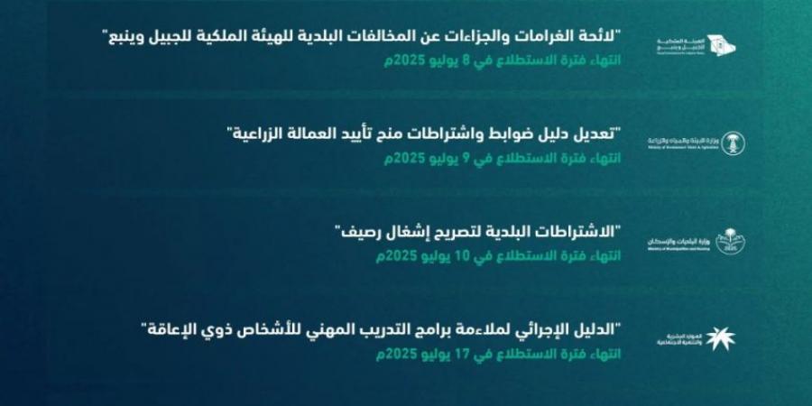 طرح 21 مشروعًا عبر منصة استطلاع لأخذ مرئيات العموم والقطاعين الحكومي والخاص - هرم مصر