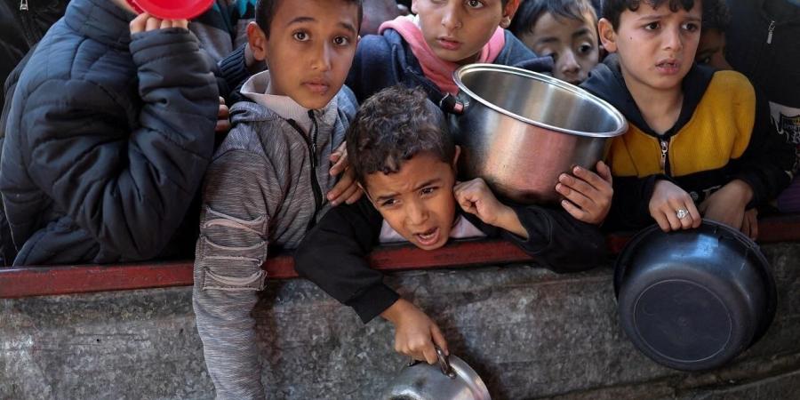 عاجل .. فلسطين تدعو لوقف استخدام الجوع كسلاح ضد شعبها - هرم مصر