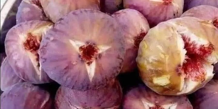 بأقل التكاليف .. طريقة عمل مربى التين البرشومي - هرم مصر