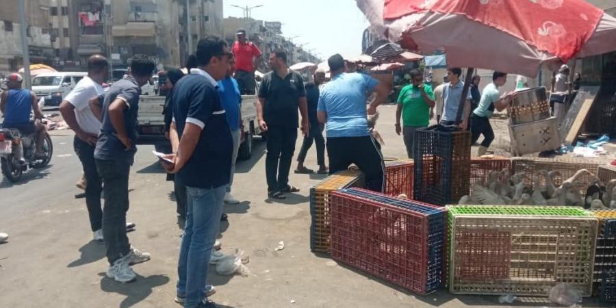 عقب إصابة أحد موظفيه.. رئيس زهور بورسعيد يقود حملة بشارع عبد الحليم محمود - هرم مصر