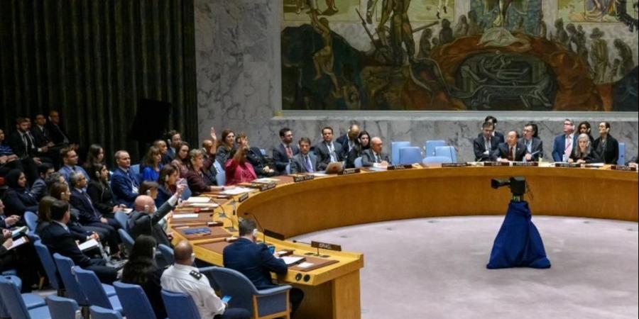 باكستان تدعو مجلس الأمن إلى اتخاذ إجراءات لوقف انتهاكات إسرائيل في غزة - هرم مصر