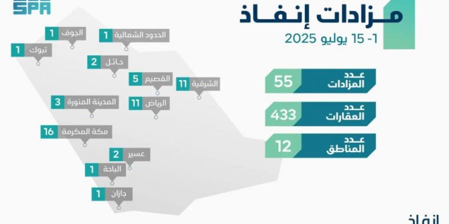 مركز إنفاذ يُشرف على (55) مزادًا لبيع (433) أصلًا - هرم مصر