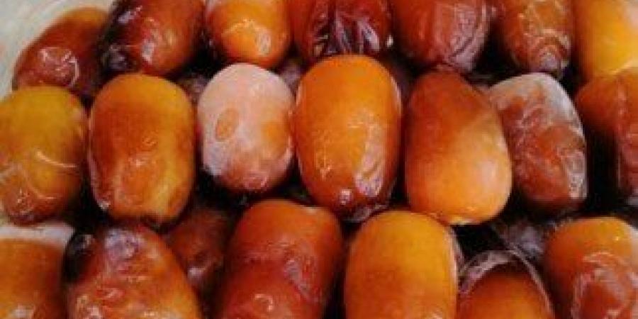 مع تربع مصر على عرش الإنتاج.. سباق مع الزمن لزراعة تمور التصدير - هرم مصر