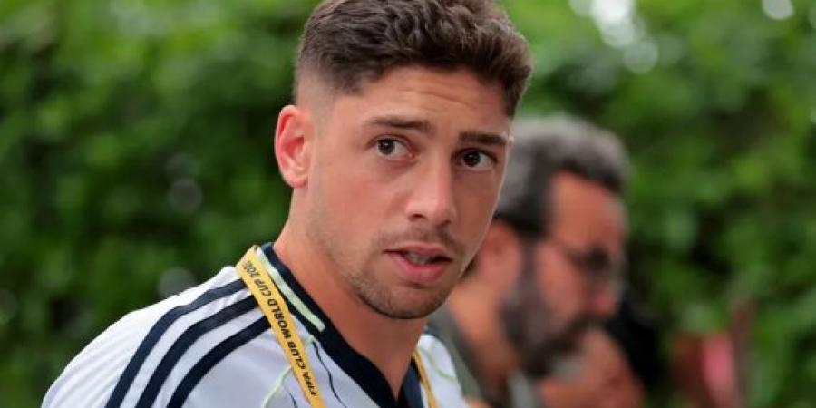 فالفيردي طريقة تشابي ألونسو سترهق منافسي ريال مدريد - هرم مصر
