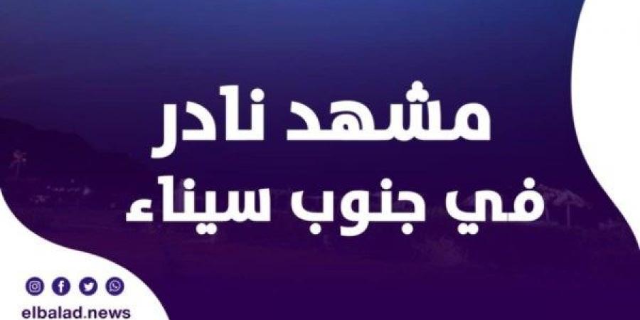سحب أرجوانية تخطف الأنظار في سماء شرم الشيخ ودهب ونويبع.. ما القصة؟ - هرم مصر