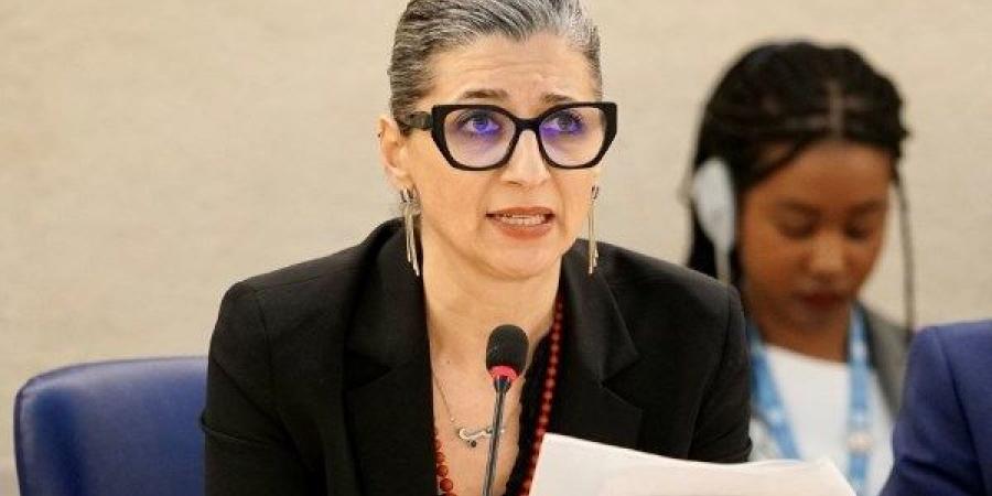 المُقرّرة الأممية لحقوق الإنسان في فلسطين: حان الوقت لحظر السلاح على إسرائيل - هرم مصر