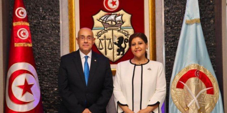 مساعد وزير الخارجية لشؤون حقوق الإنسان تبحث مع وزير الدفاع التونسي تعزيز التعاون المشترك - هرم مصر