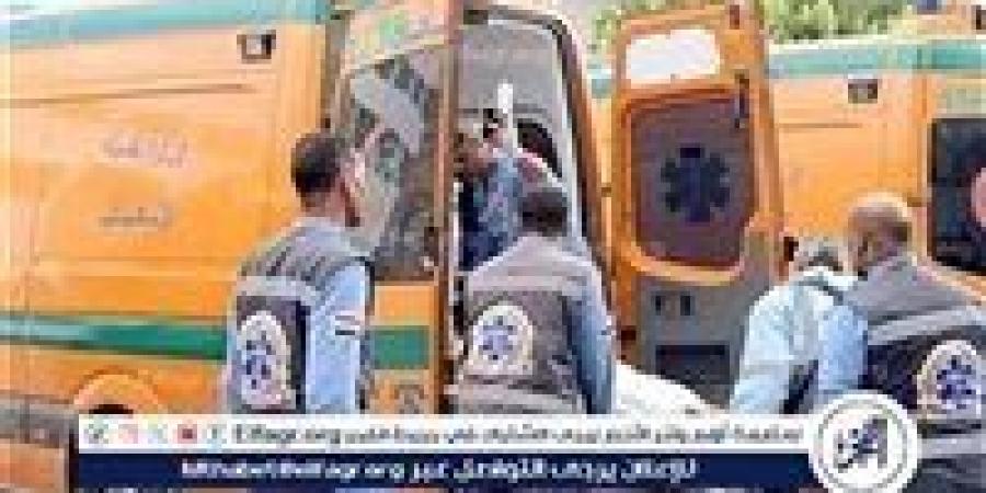 إصابة 9 أشخاص إثر حادث تصادم تروسيكل مع سيارة ملاكي وسقوطها في ترعة بالمنيا - هرم مصر
