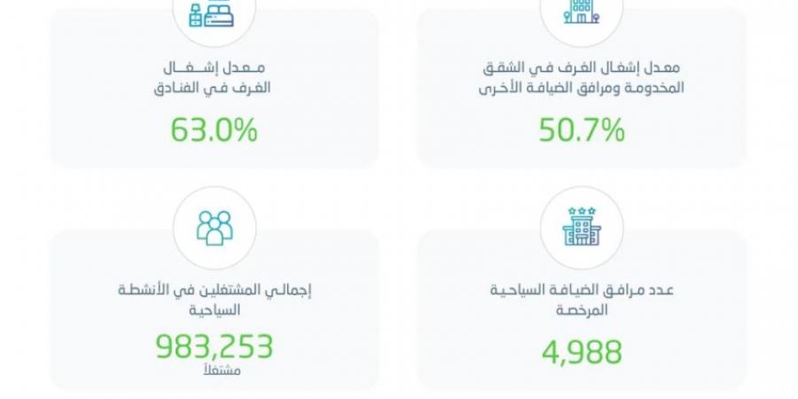 الإحصاء: ارتفاع معدل إشغال الغرف في الفنادق خلال الربع الأول من 2025 بنحو 63% - هرم مصر
